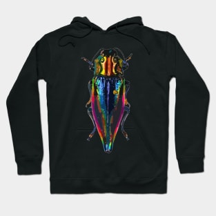 Raindow Metallic Jewel Beetle Digital Painting Hoodie